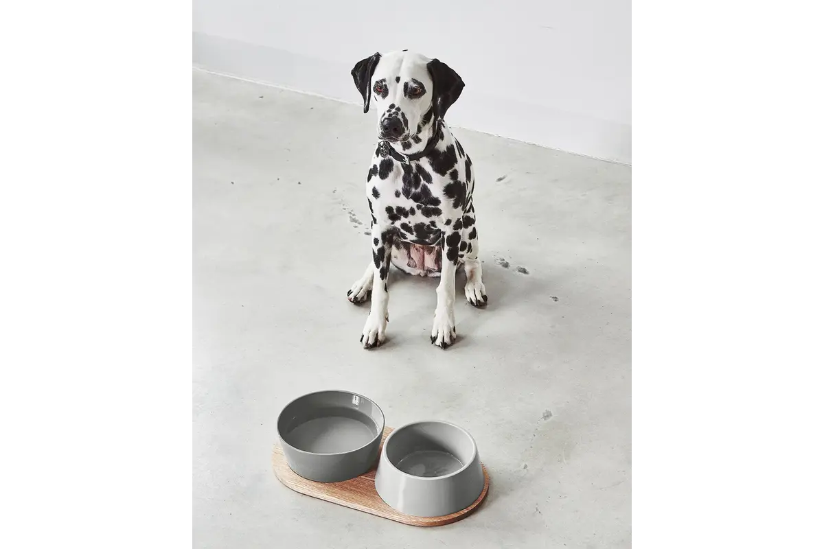 Cane Doppio, Bowl Set, Concrete
