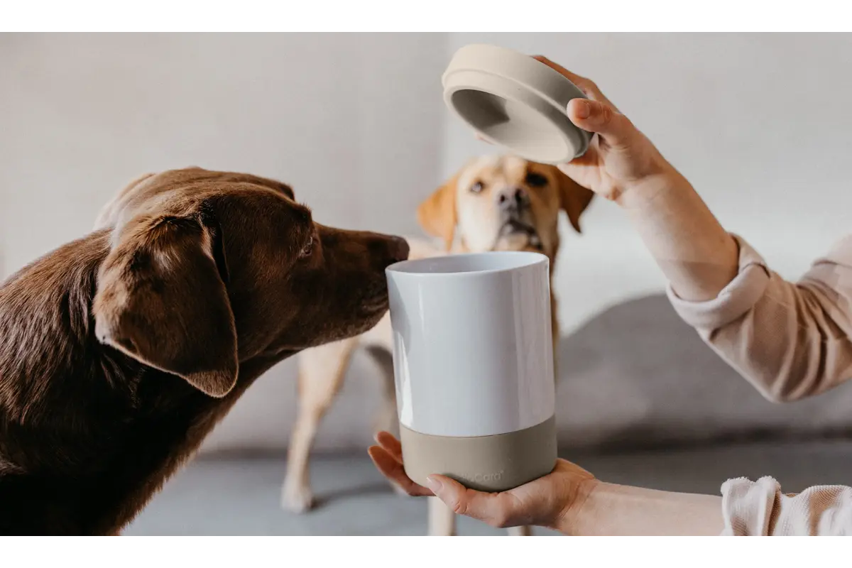 Cane Coppa, Leckerlidose, Schiefer