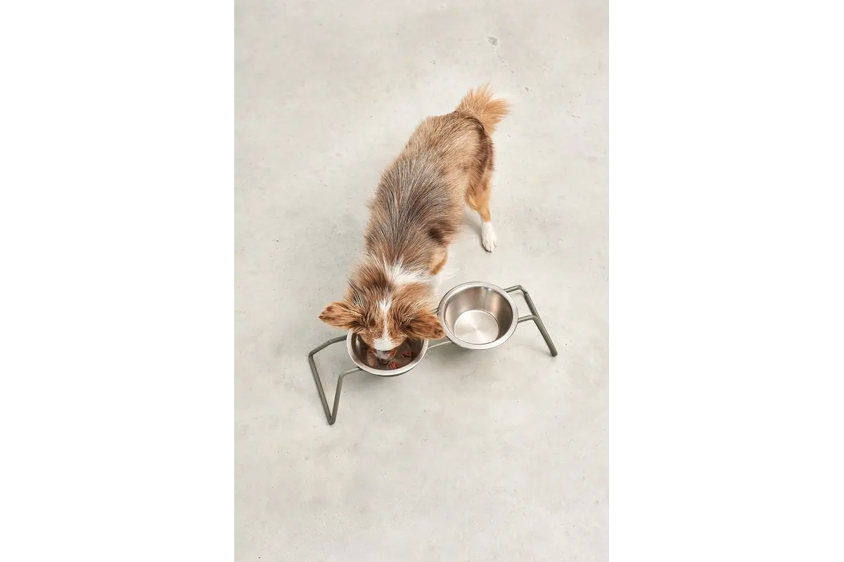 Cane Cena, Hondenvoerbak met Roestvrijstalen Bakjes, Grolive Gepoedercoat