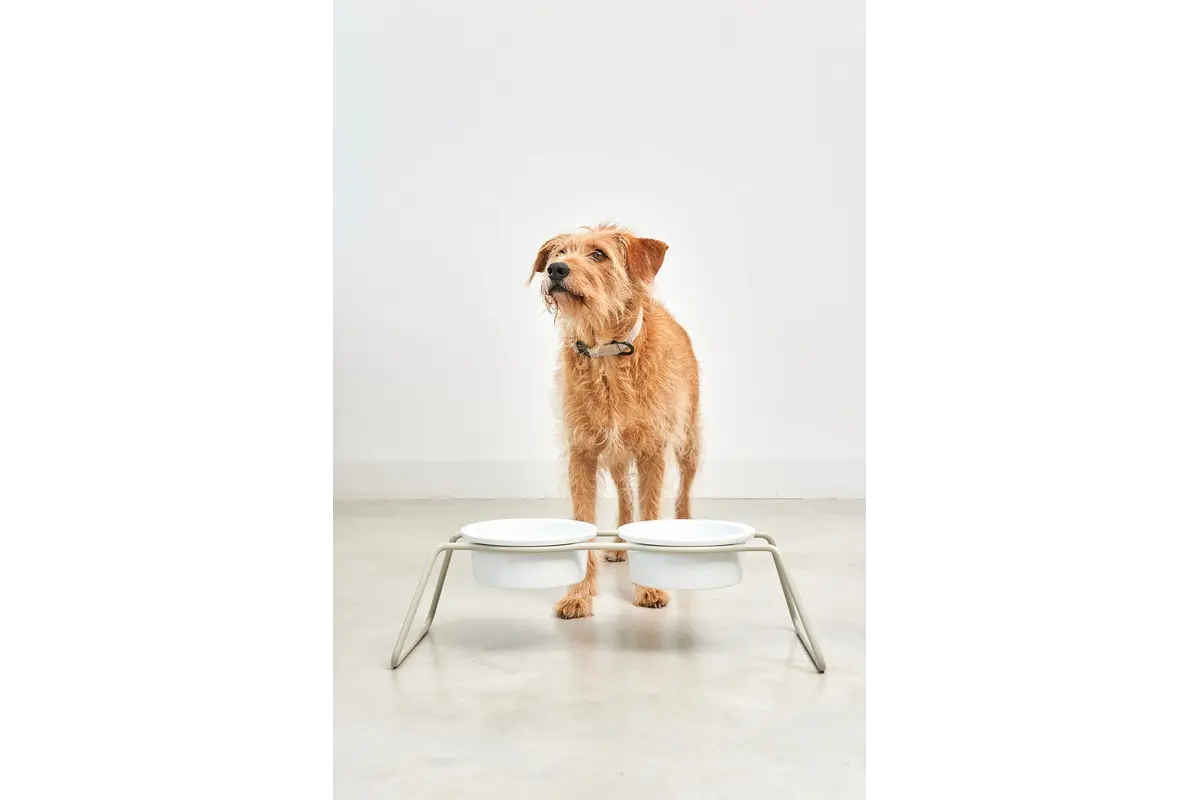Cane Cena, Dog Feeder with Porcelain Bowls, Powder-Coated Greige
