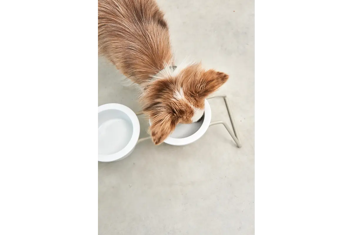 Cane Cena, Napfständer mit Porzellannäpfen, Pulverbeschichtet Greige