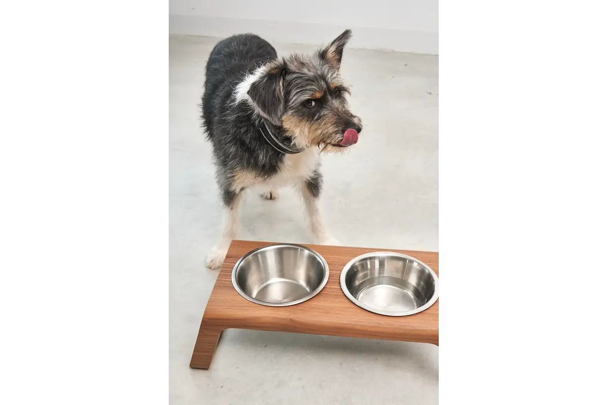 Cane Desco, Napfständer mit Edelstahlnäpfen, Nussbaum