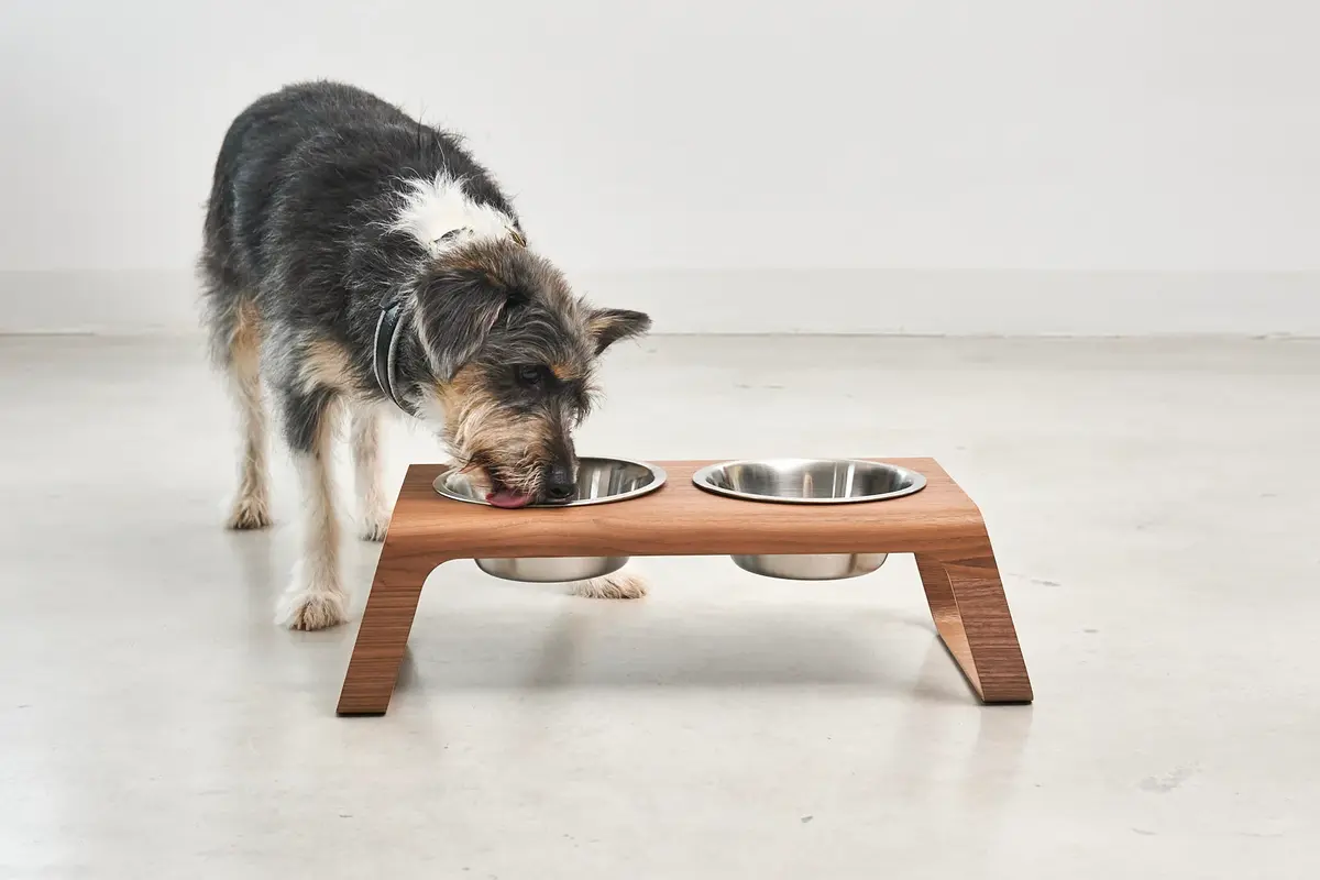 Cane Desco, Dog Feeder with Stainless Steel Bowls, Walnut