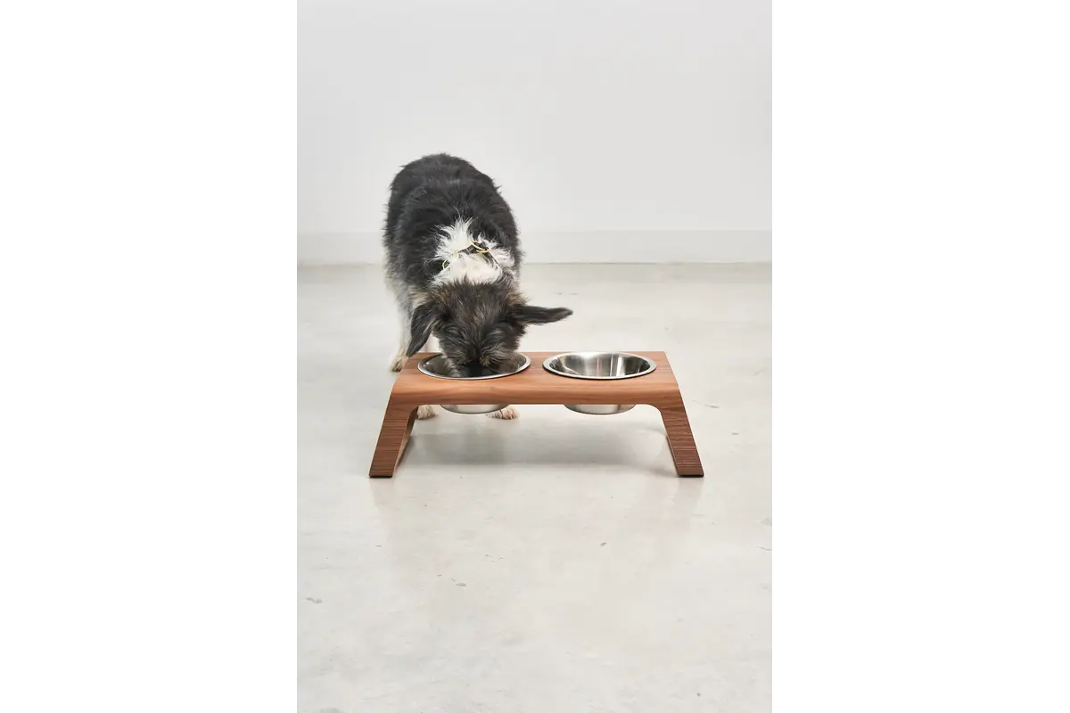 Cane Desco, Dog Feeder with Stainless Steel Bowls, Walnut