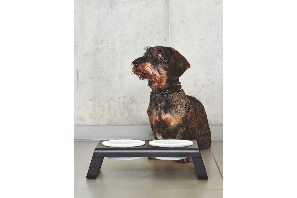 Cane Desco, Napfständer mit Porzellannäpfen, Pulverbeschichtet Schwarz