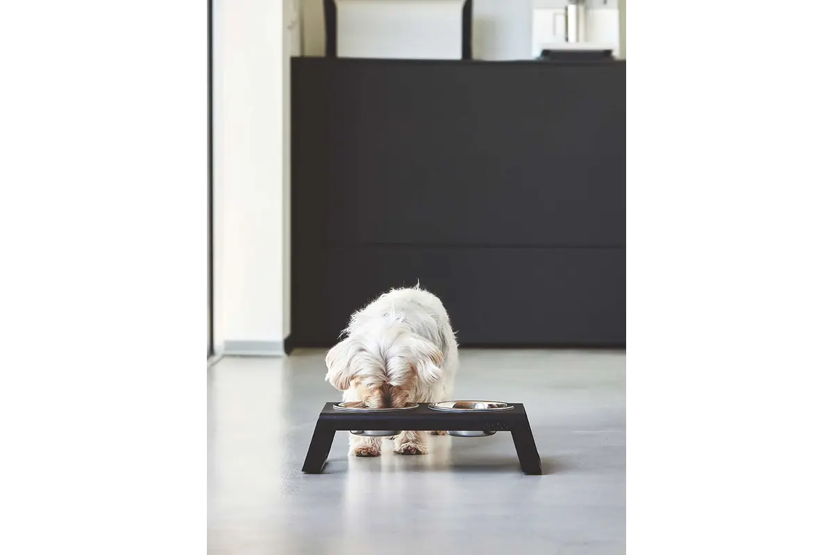 Cane Desco, Napfständer mit Edelstahlnäpfen, Pulverbeschichtet Schwarz