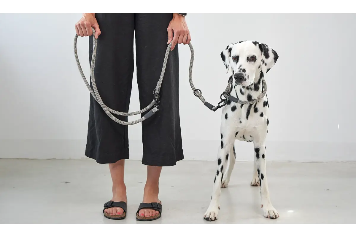 Cane Monza, Hondenriem, Asfalt/Greige/Grolive