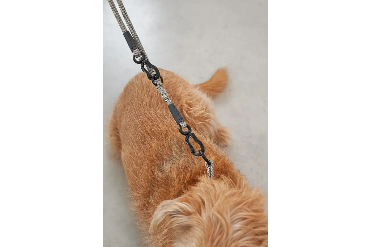 Cane Monza, Hondenriem, Asfalt/Greige/Grolive