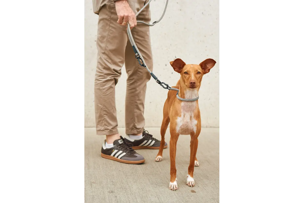 Cane Monza, Long Leash, Asphalt/Greige/Grolive