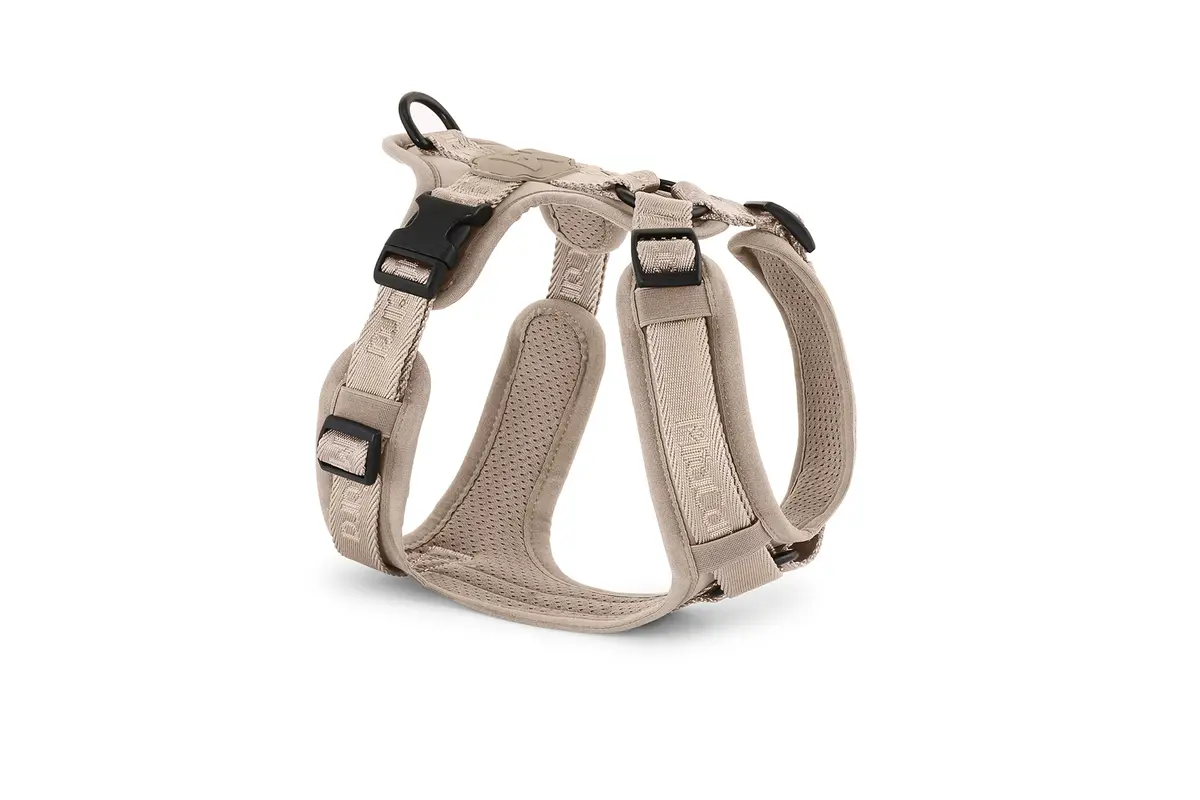 Cane Modena, Hundegeschirr, Greige