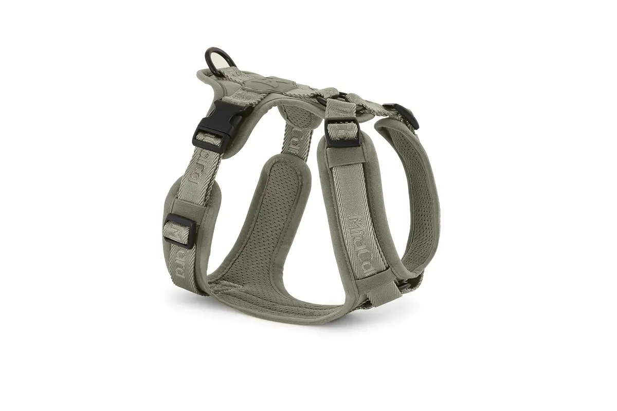 Cane Modena, Hundegeschirr, Grolive