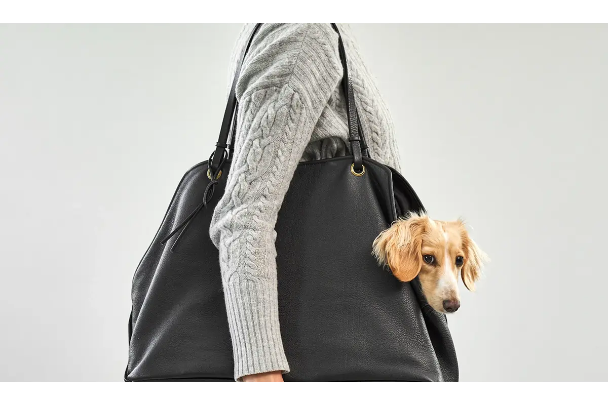 Cane Borsa, Hondendraagtas, Zwart