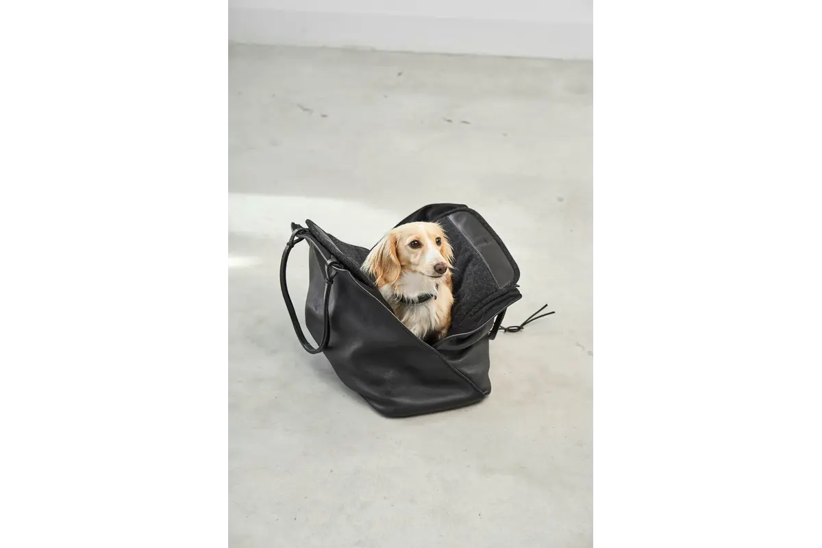 Cane Borsa, Hondendraagtas, Zwart