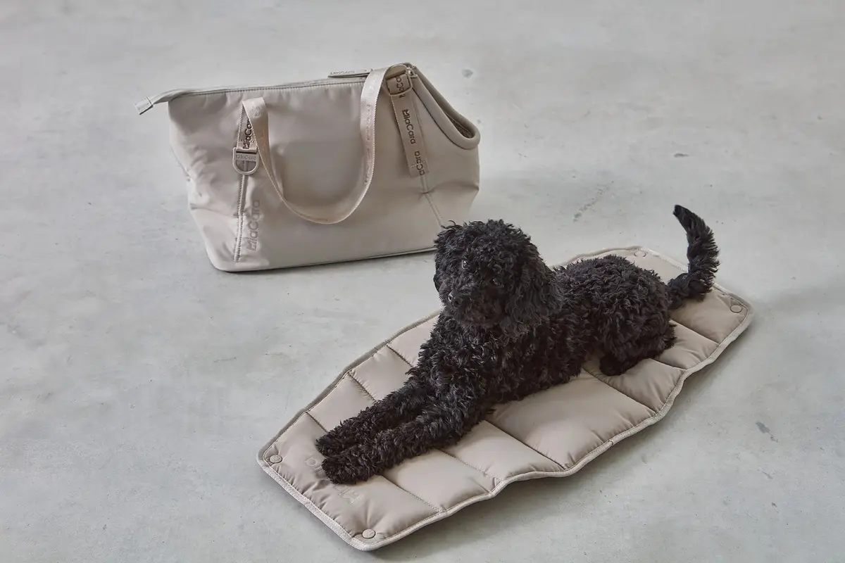 Cane Sporta, Ersatz-Inlay, Greige