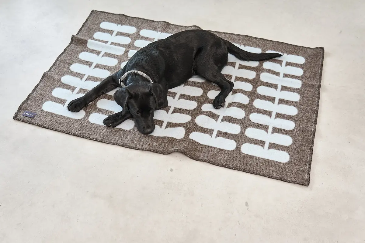 Cane Flora, Dog Blanket, Chocolate/Light Sky