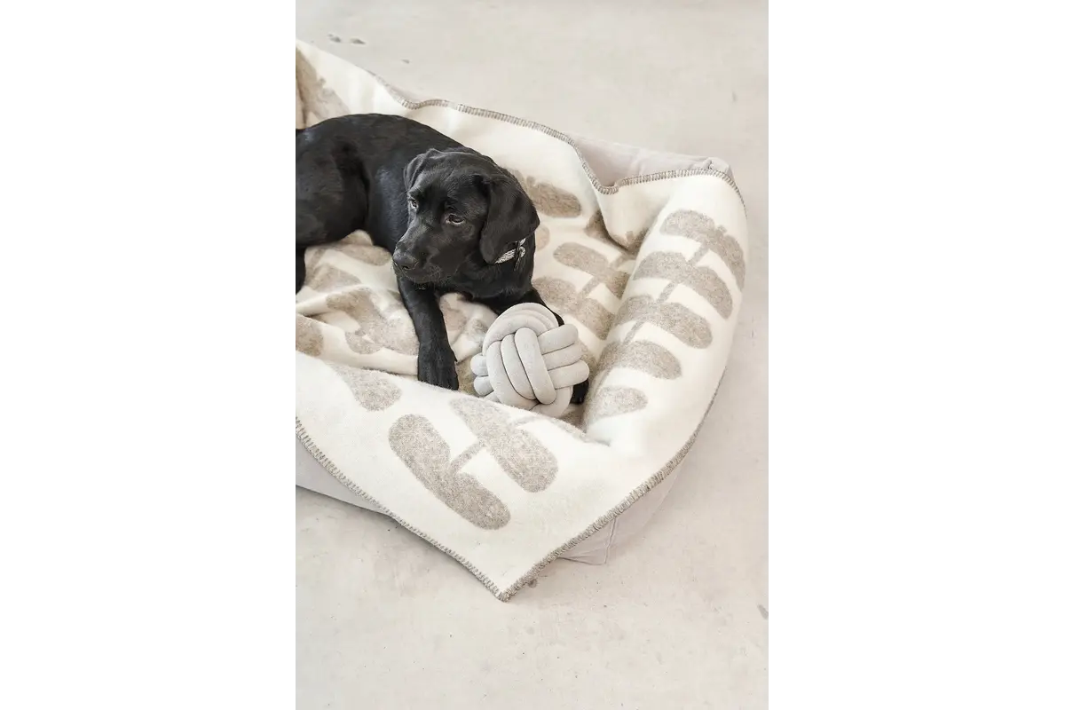 Cane Flora, Dog Blanket, Cappuccino/Natural