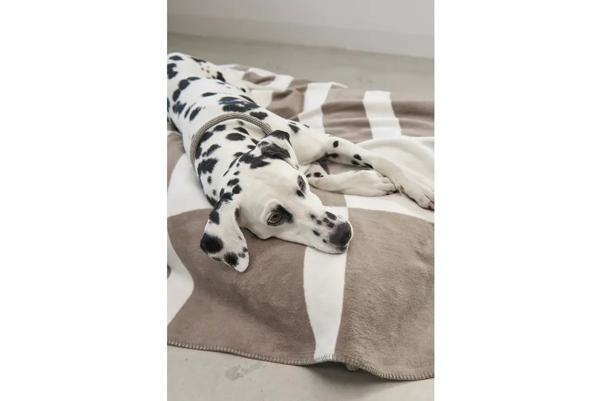 Cane Blocco, Hondendeken, Taupe/Natuurlijk
