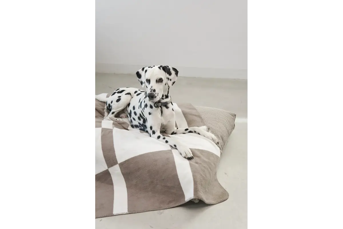 Cane Blocco, Hondendeken, Taupe/Natuurlijk