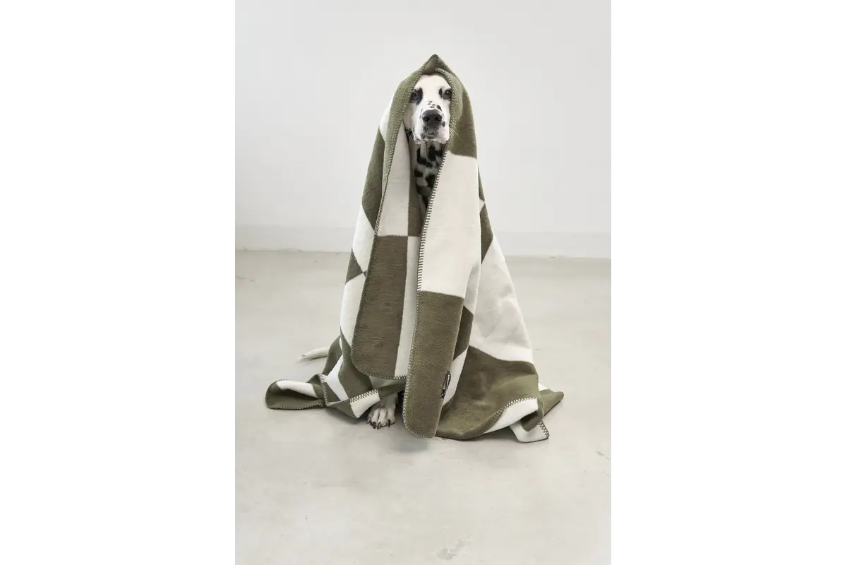 Cane Blocco, Dog Blanket, Grolive/Natural