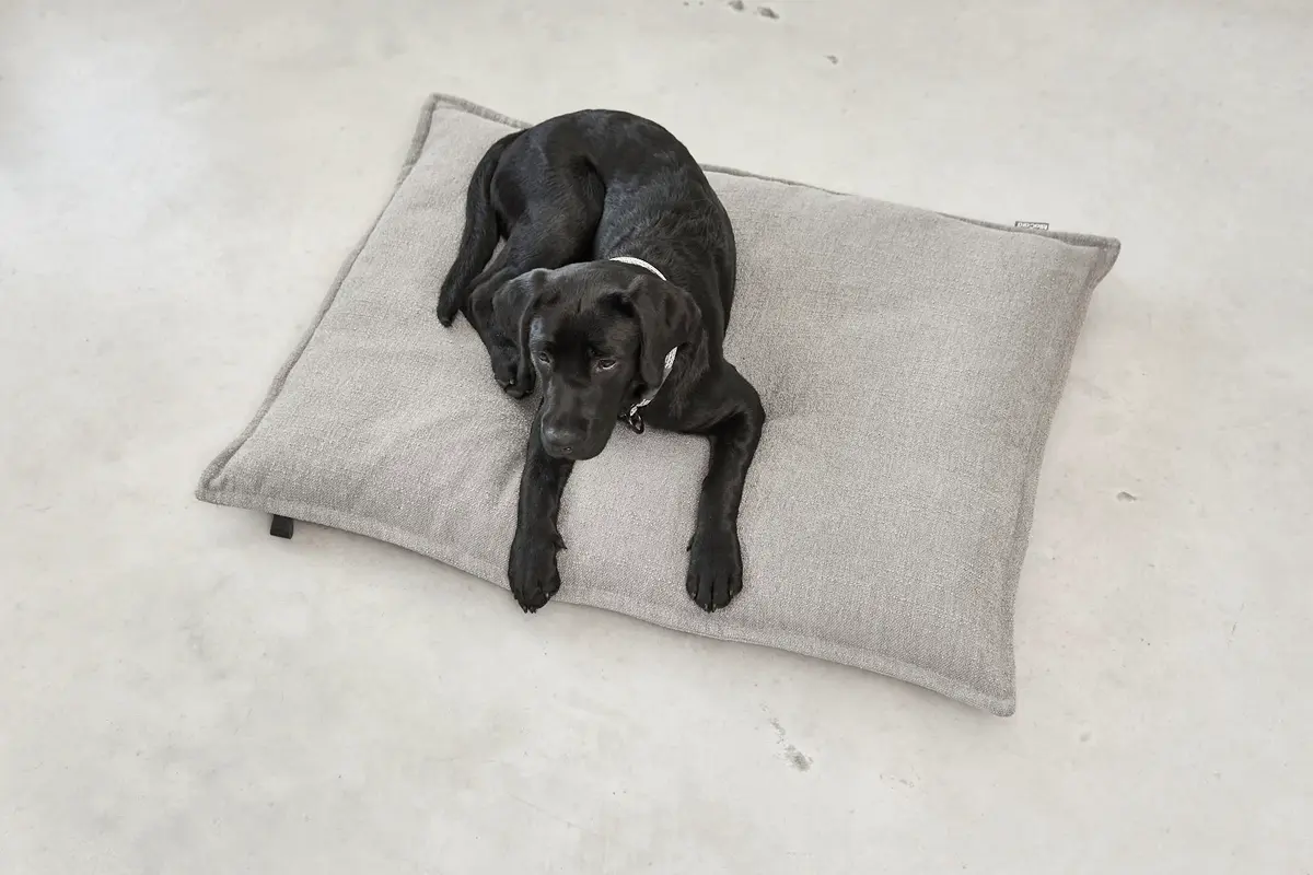 Cane Campo, Hundekissen Überzug, Kiesel