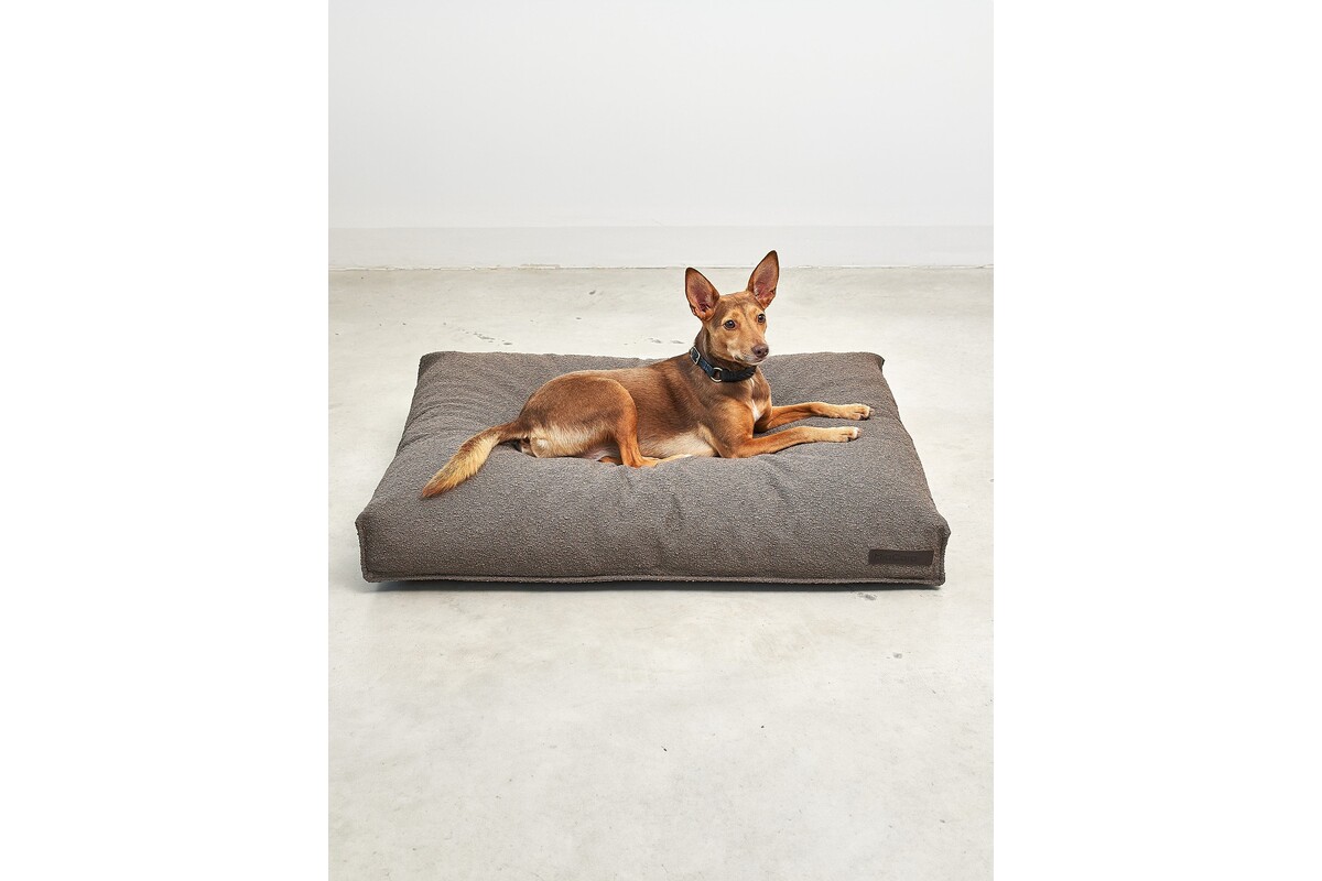 Cane Mondo, Hondenkussenhoes, Chocolade