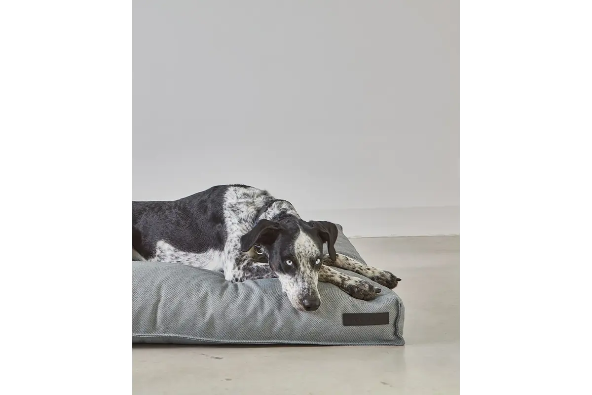 Cane Mare, Kussenhoes, Rots