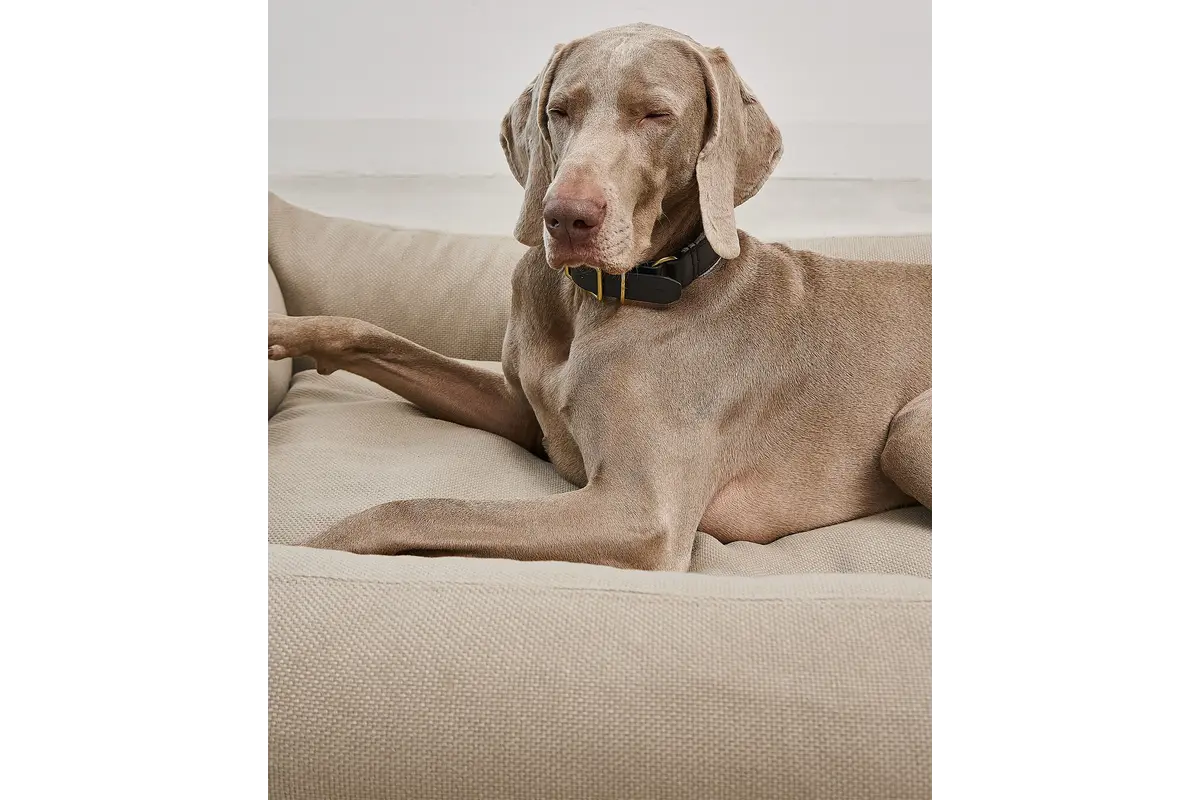 Cane Sonno, Box Bed Cover, Cappuccino