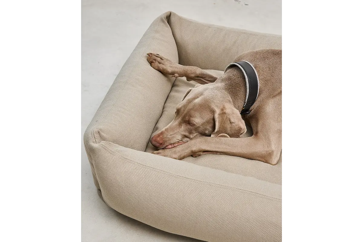 Cane Sonno, Box Bed Cover, Cappuccino