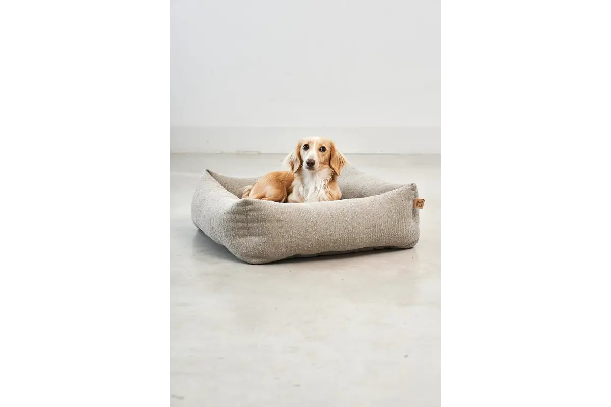 Cane Campo, Hondenmand voor Kleine Honden, Greige