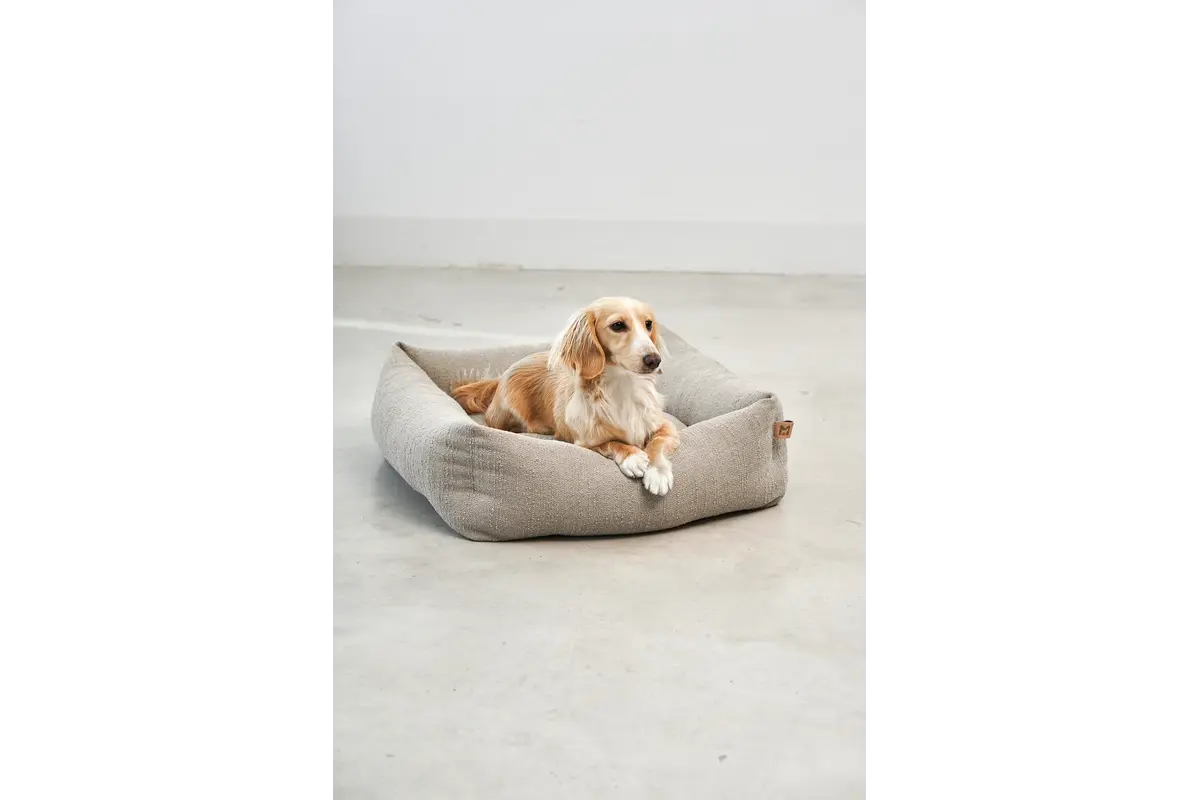 Cane Campo, Hondenmand voor Kleine Honden, Greige