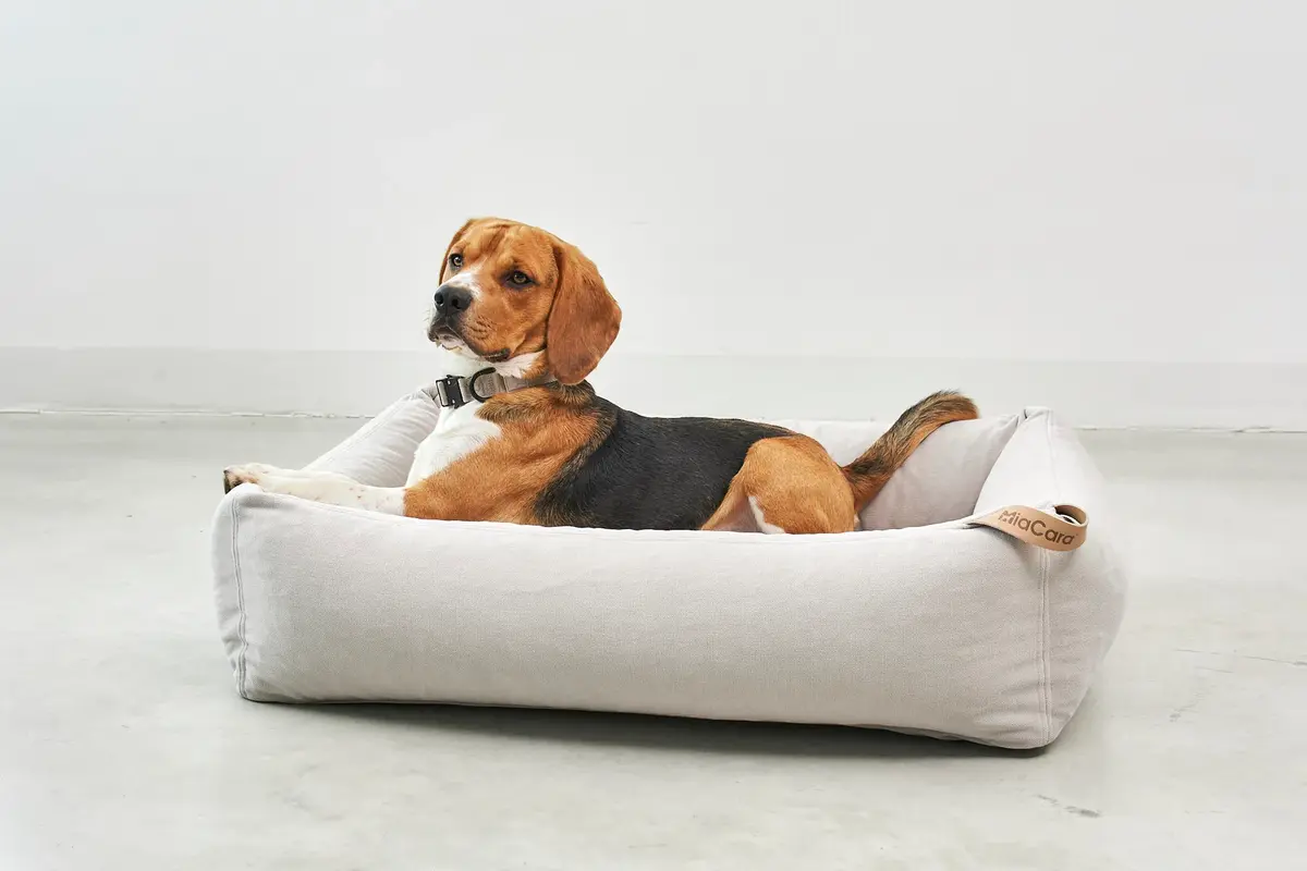 Cane Comodo, Hundebett, Greige