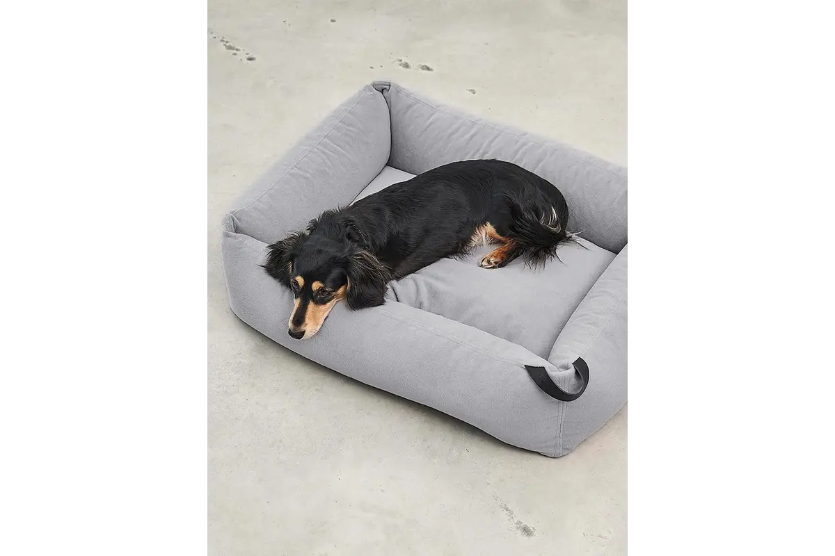 Cane Comodo, Hundebett, Schiefer