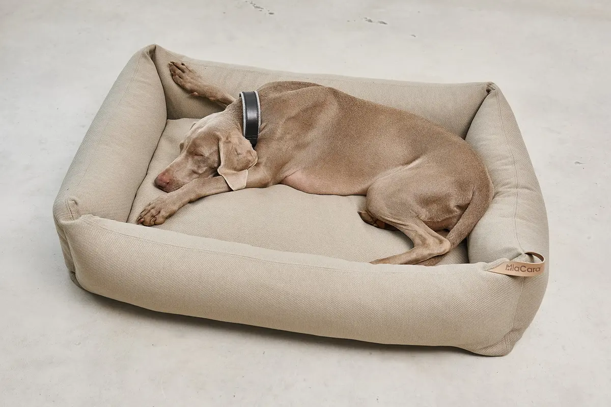 Cane Sonno, Dog Bed, Cappuccino