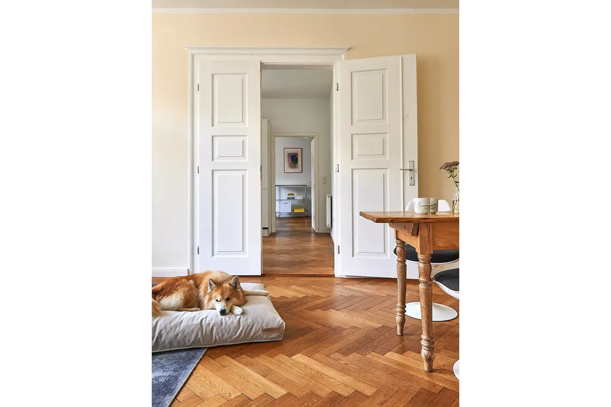 Cane Comodo, Dog Cushion, Greige