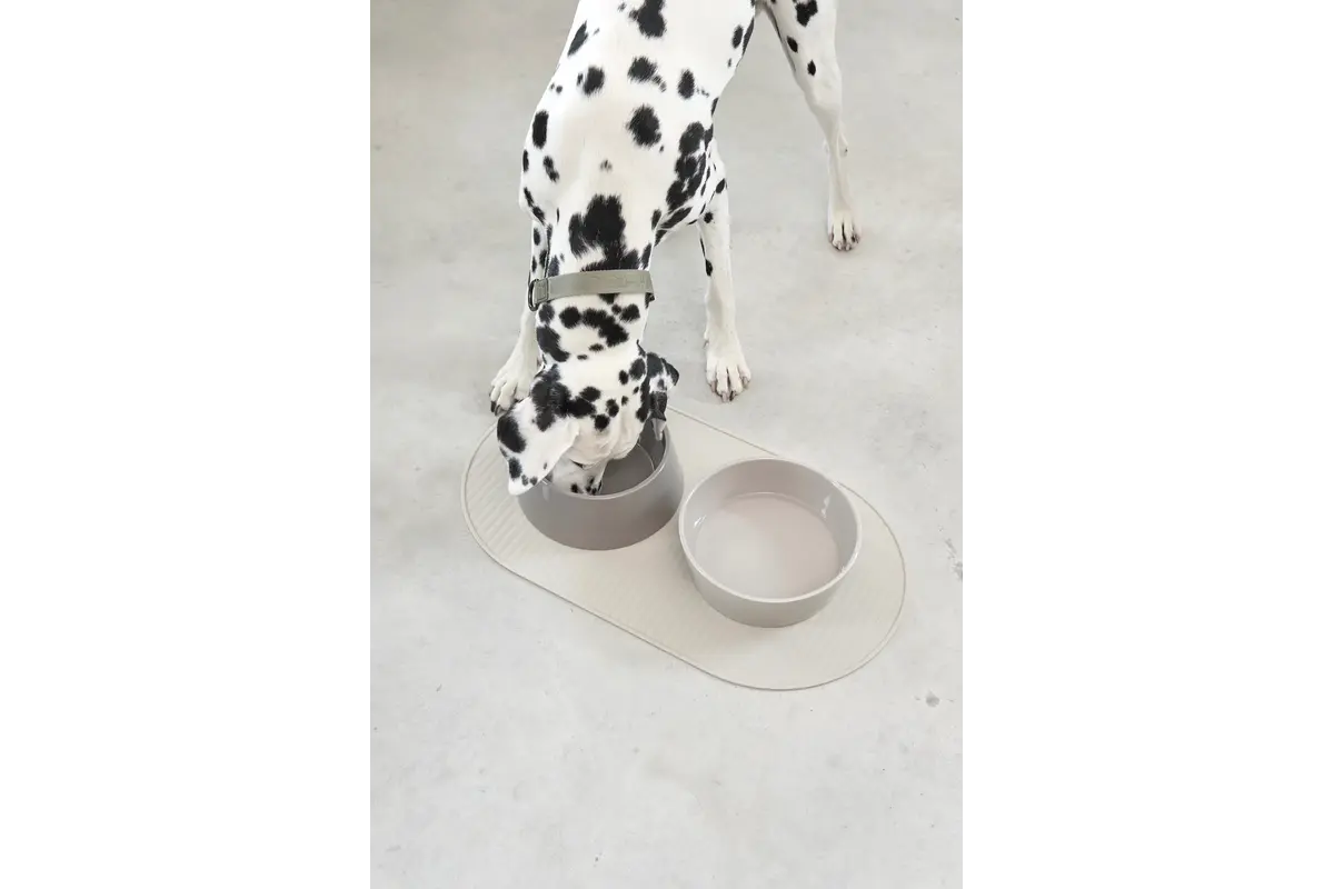 Cane Pasto, Placemat Hond, Greige