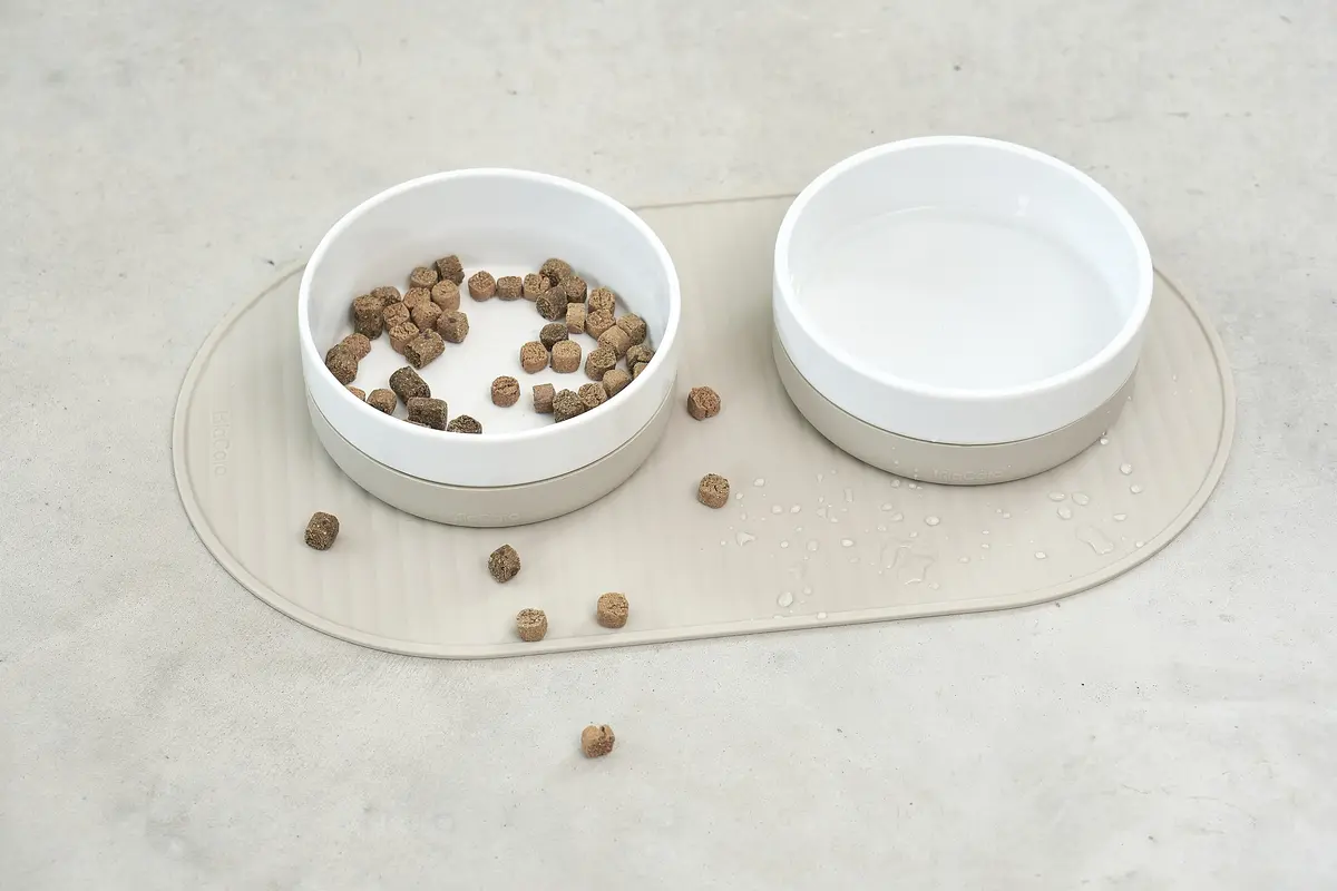 Cane Pasto, Dog Placemat, Greige