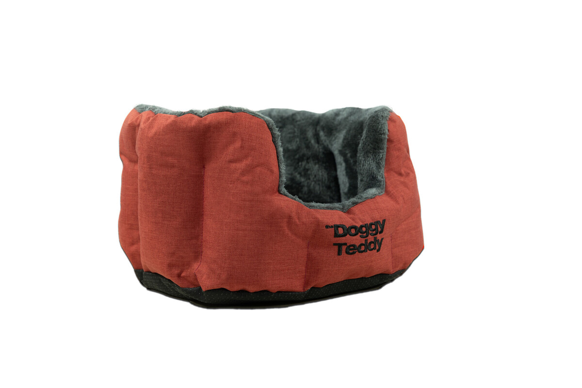 The DoggyTeddy Strong Copper