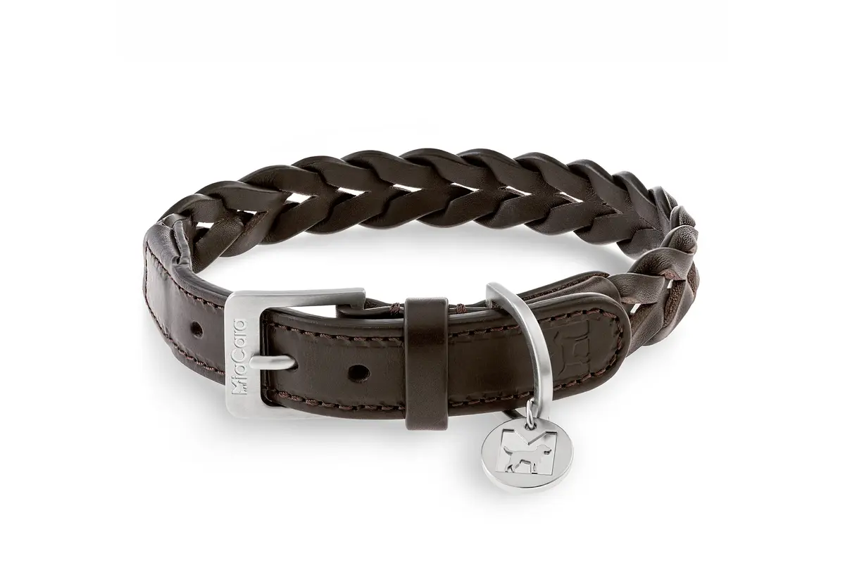 Cane Bergamo, Dog Collar, Chocolate