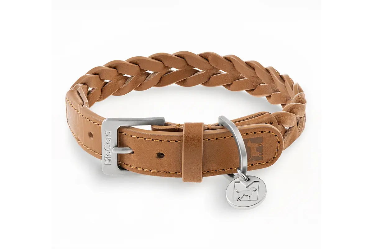 Cane Bergamo, Hondenhalsband, Camel
