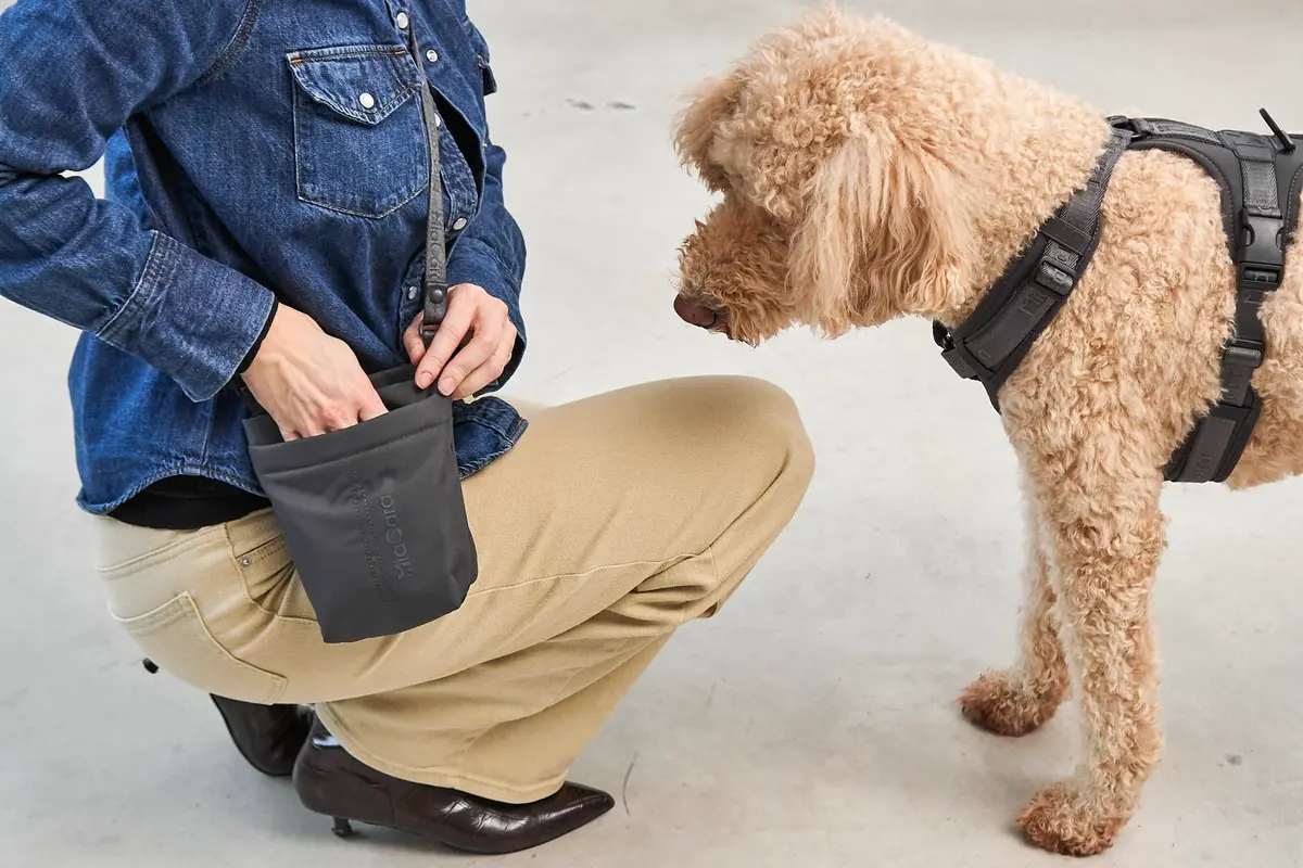 Cane Gusto 2.0, Treat Bag, Asphalt