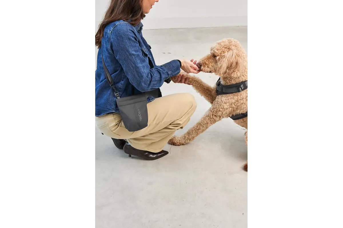 Cane Gusto 2.0, Leckerlibeutel, Asphalt