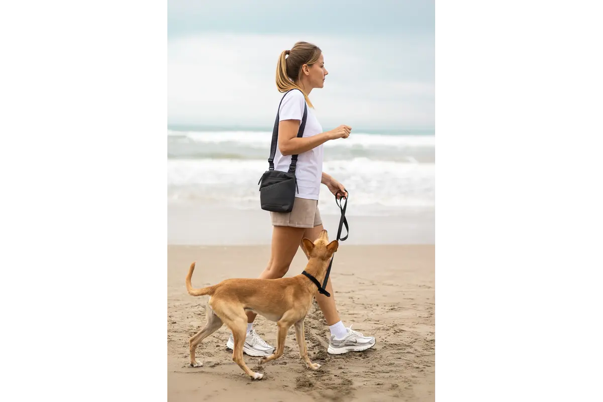 Cane Andiamo, Wandertasche, Asphalt