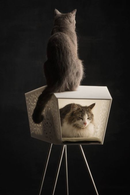 Aan de overkant Klokje Telemacos Luxe kattenspullen | Katten accessoires & Katten benodigdheden The Pet  Empire - The Pet Empire