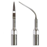 Woodpecker Scaler tip G3