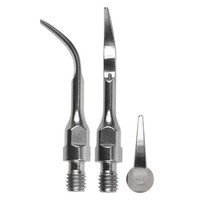 Woodpecker GS4 Scaler tip