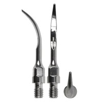 Woodpecker GS5 Scaler tip