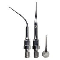 Woodpecker PS3 Scaler tip