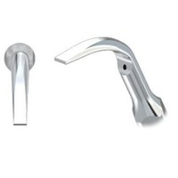 Woodpecker GD2 Scaler tip