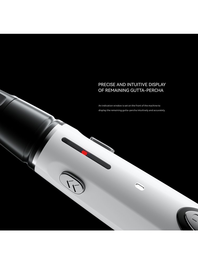Woodpecker  Système d'obturation Gutta percha Fi-E + Fi-P
