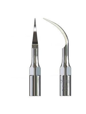Compatibel with EMS connection Woodpecker Scaler tip P1